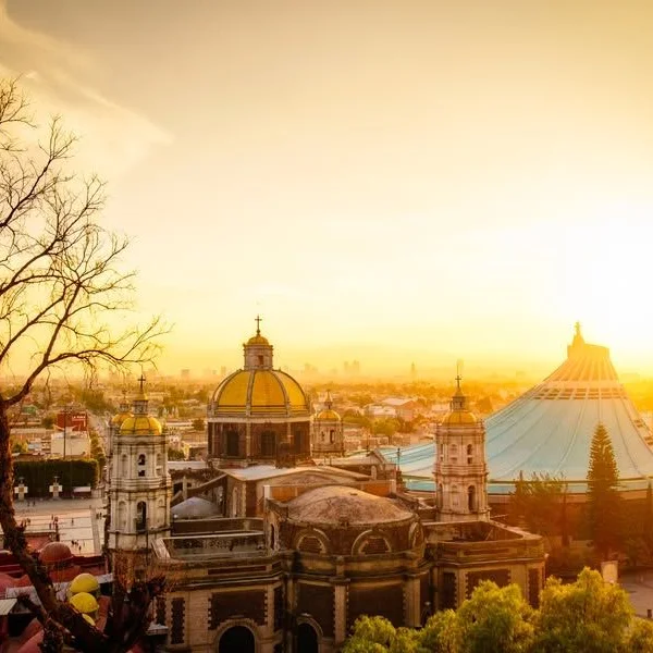 Update 5/15 Thank you everyone for the suggestions and recommendations. This was another great trip for Mexico City! Top 3 Food Recommendations: 1. Nacú - La Juárez: Best, best, best! I wish we...